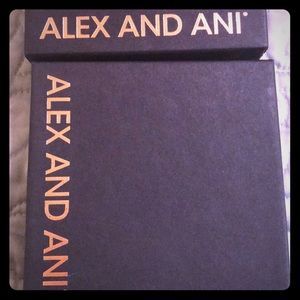 Set of Alex and Ani boxes 📦